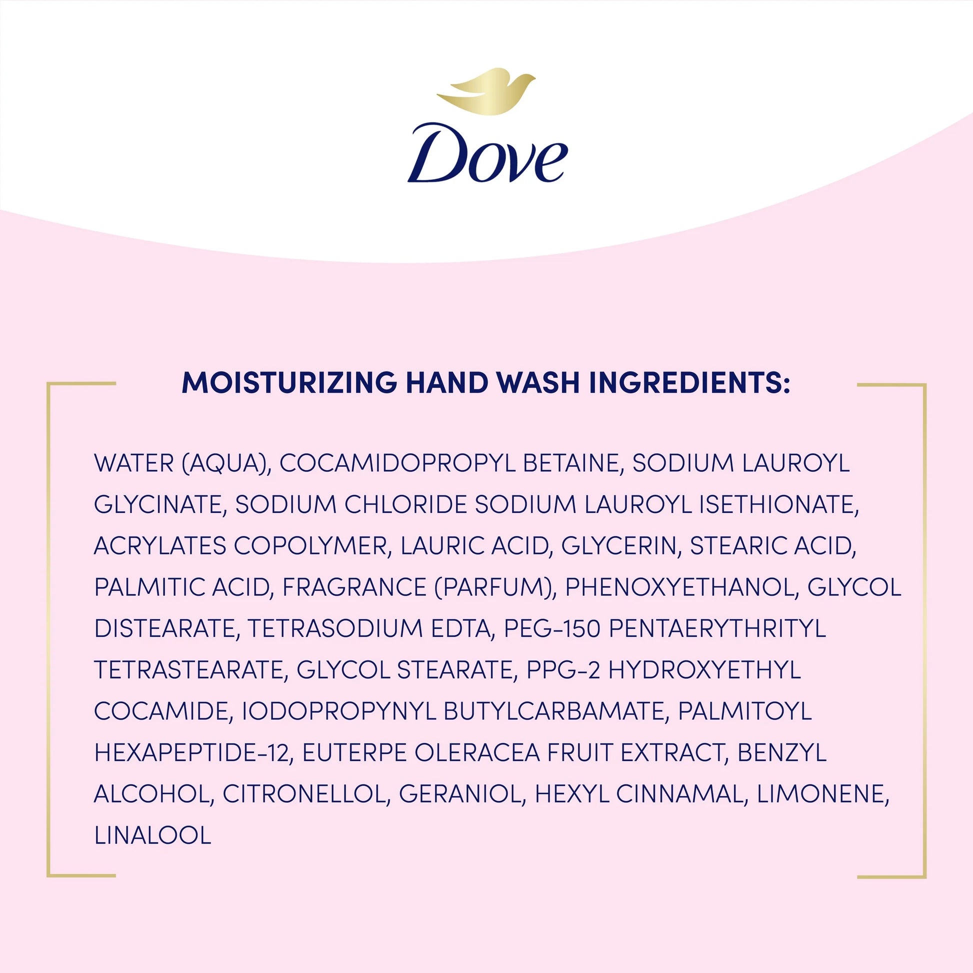 Prebiotic Boost Hand Wash Dryness Remedy, 12 Oz