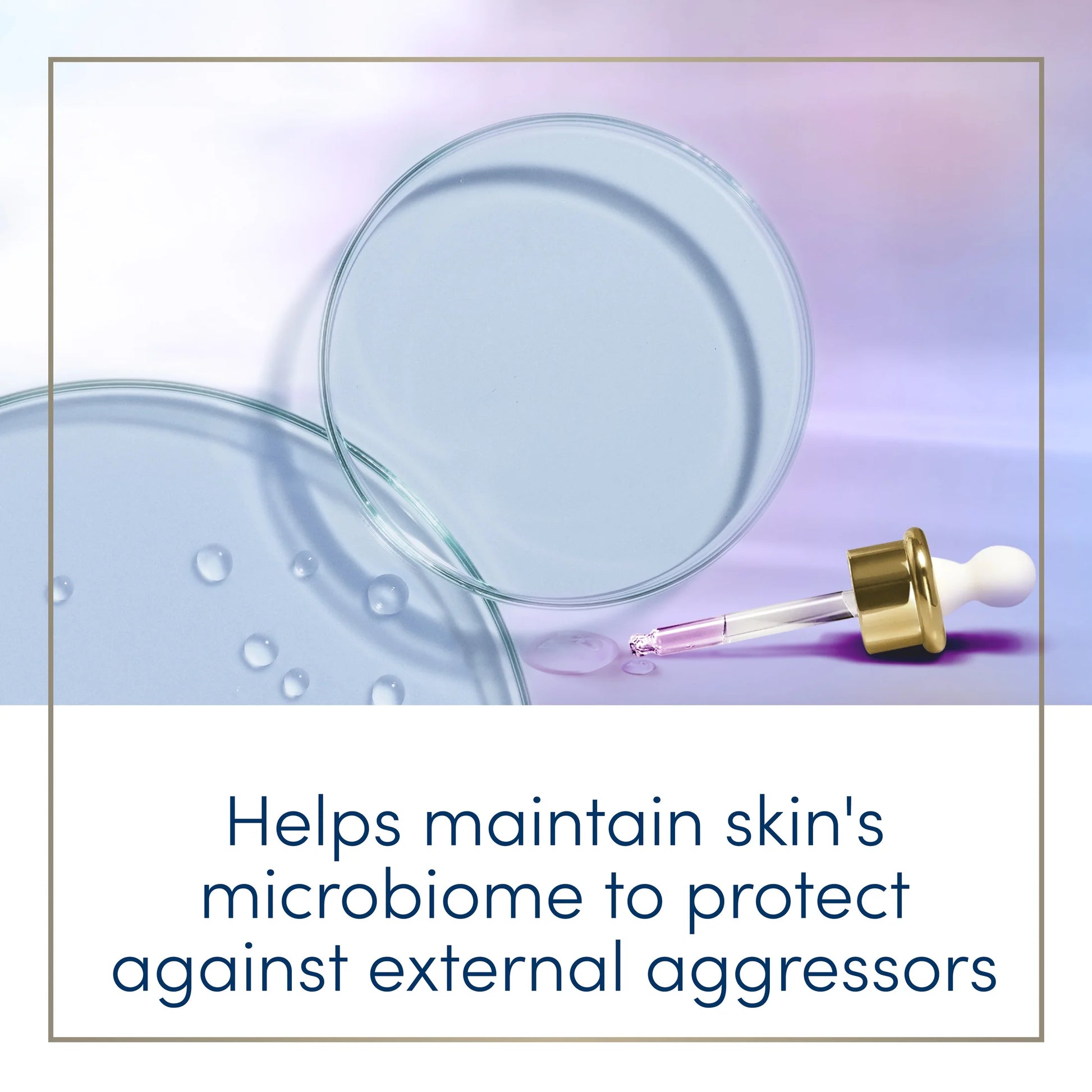 Prebiotic Boost Hand Wash Dryness Remedy, 12 Oz